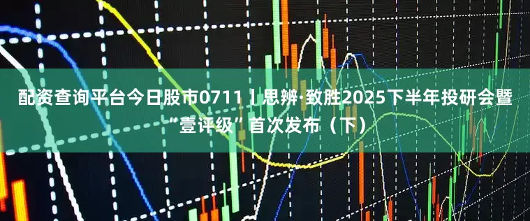 配资查询平台今日股市0711丨思辨·致胜2025下半年投研会暨“壹评级”首次发布（下）
