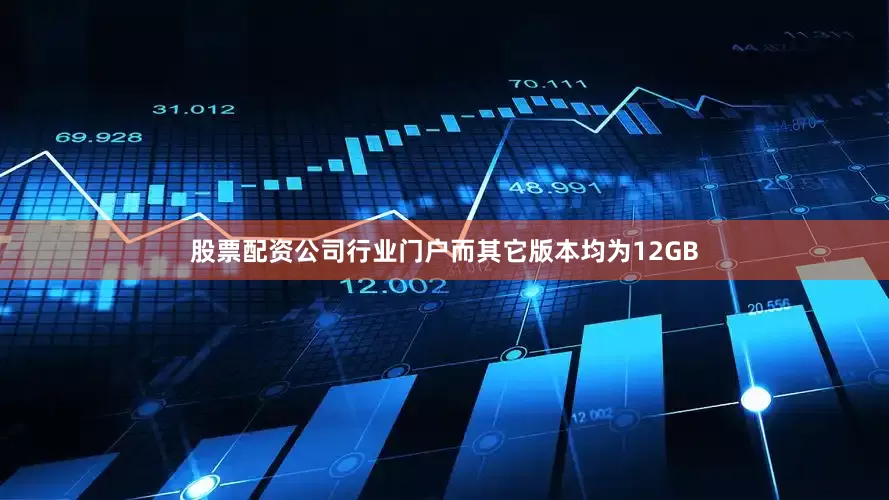股票配资公司行业门户而其它版本均为12GB