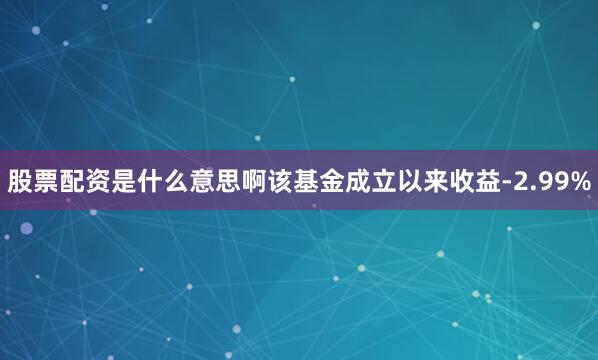 股票配资是什么意思啊该基金成立以来收益-2.99%