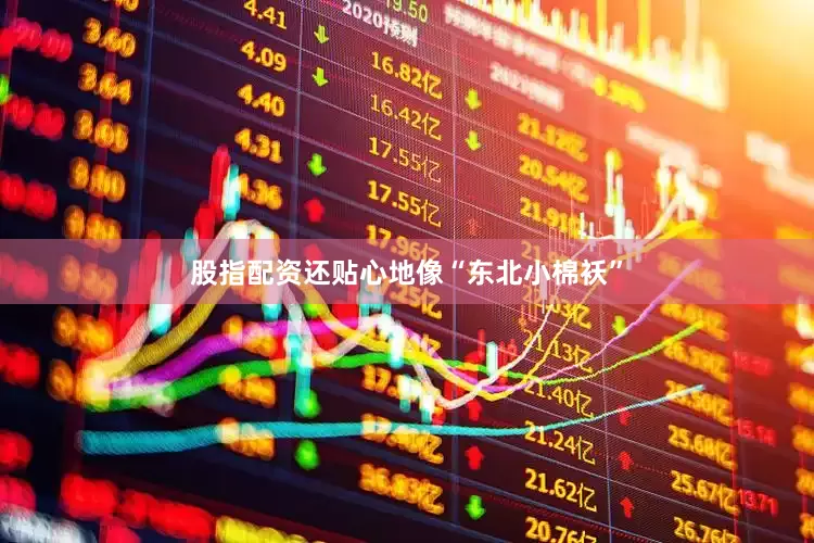 股指配资还贴心地像“东北小棉袄”