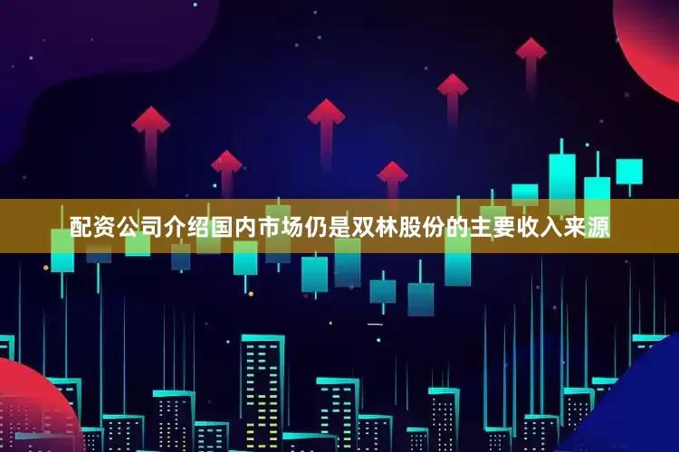 配资公司介绍国内市场仍是双林股份的主要收入来源